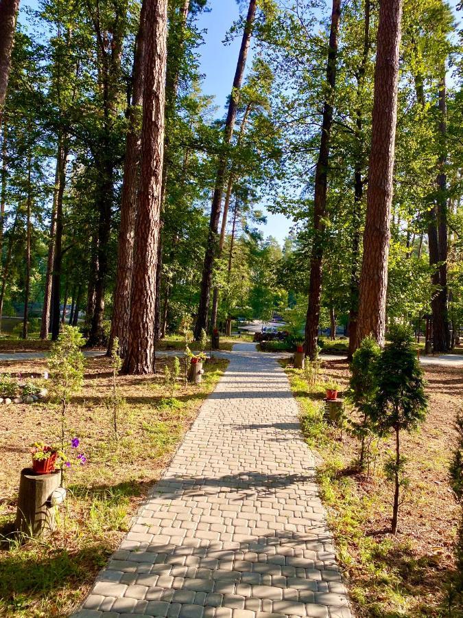 Отель Комплекс Старый Пруд Pylypovychi Экстерьер фото