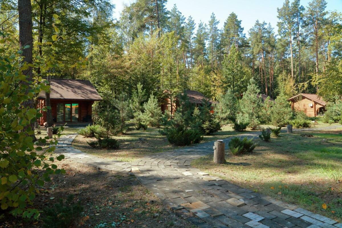 Отель Комплекс Старый Пруд Pylypovychi Экстерьер фото